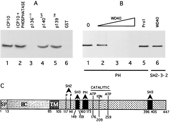 FIG. 5