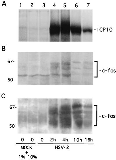 FIG. 9