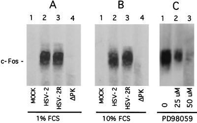 FIG. 10