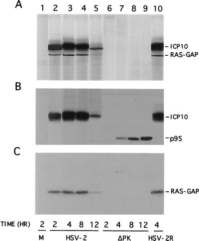 FIG. 6