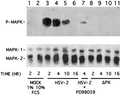 FIG. 8