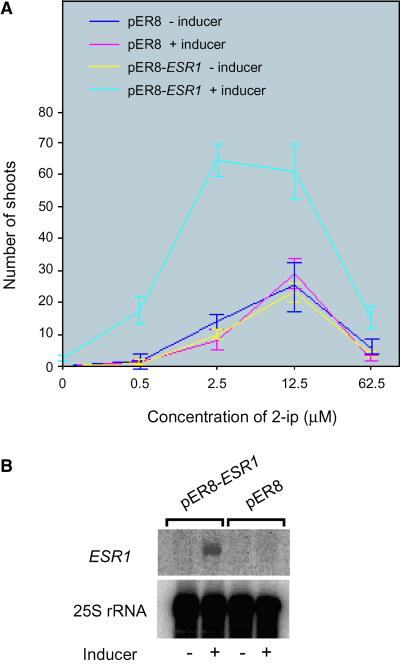 Figure 3.