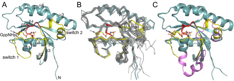 Fig. 2