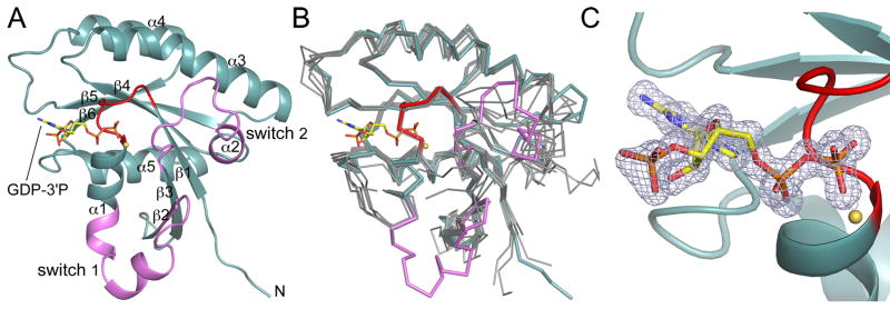 Fig. 1