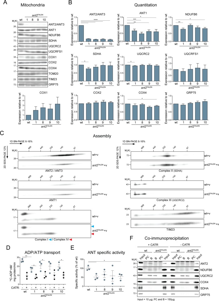 FIGURE 5: