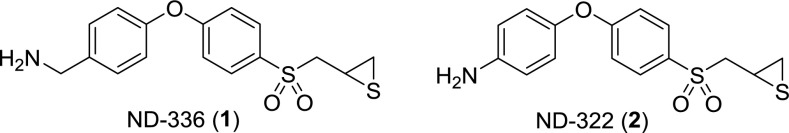 Scheme 1.