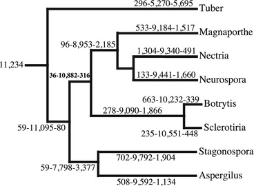Fig. 8.10