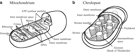 Fig. 8.2