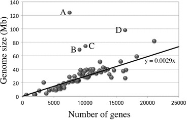 Fig. 8.9