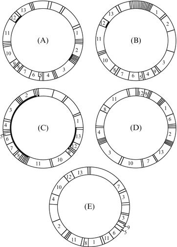 Fig. 8.3