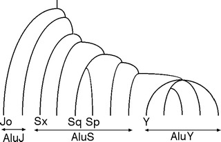Fig. 8.6
