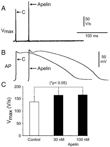 Fig. 8