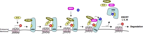 Figure 10.