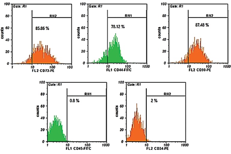 Fig.3