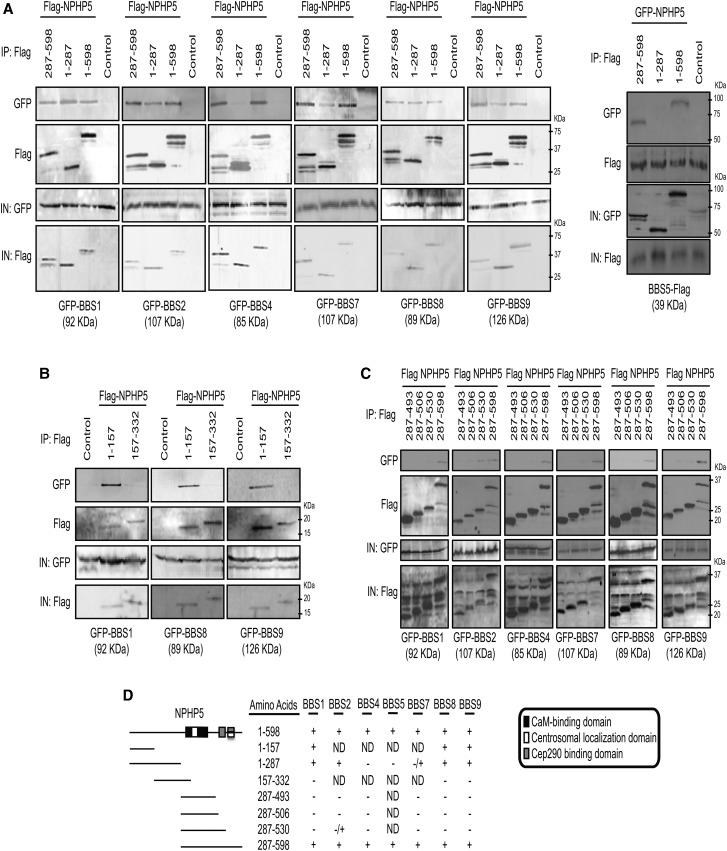 Figure 2.