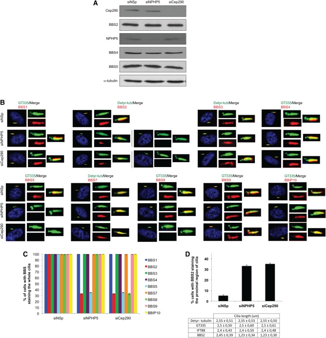 Figure 5.