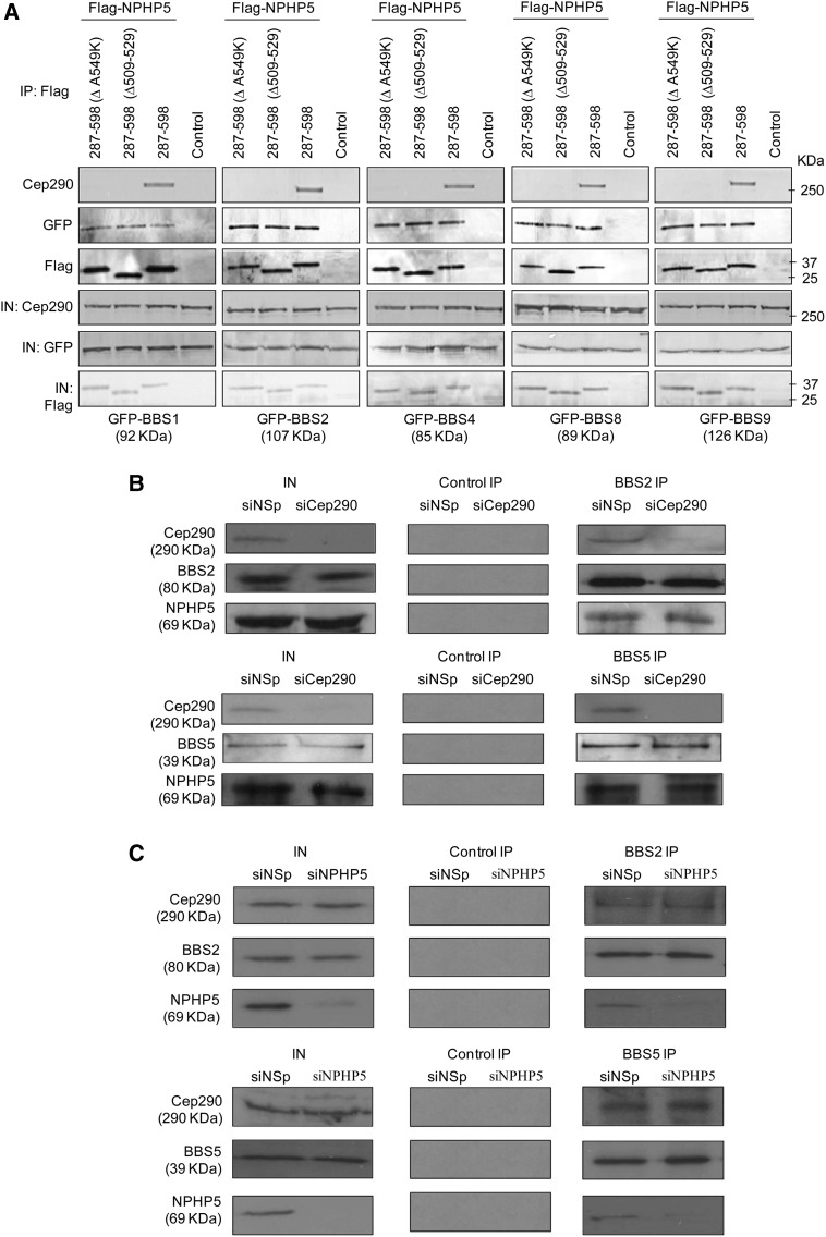 Figure 3.