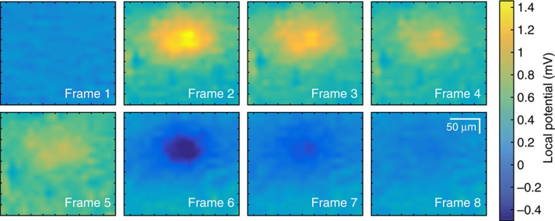 Figure 5