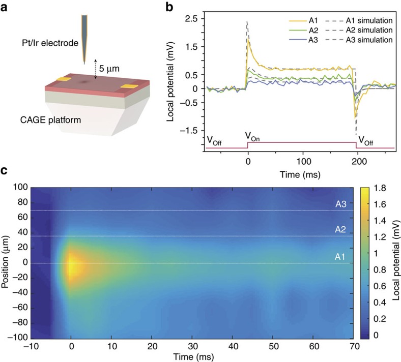 Figure 4