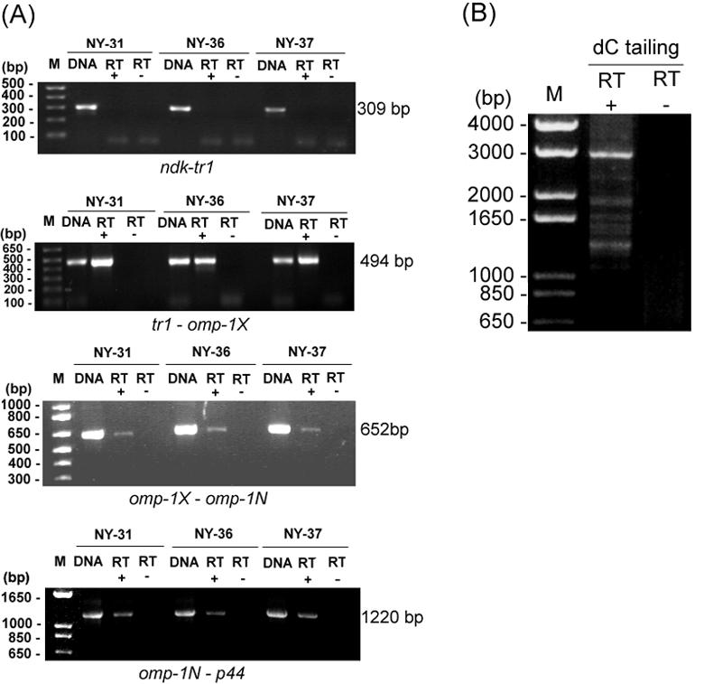 FIG. 3.