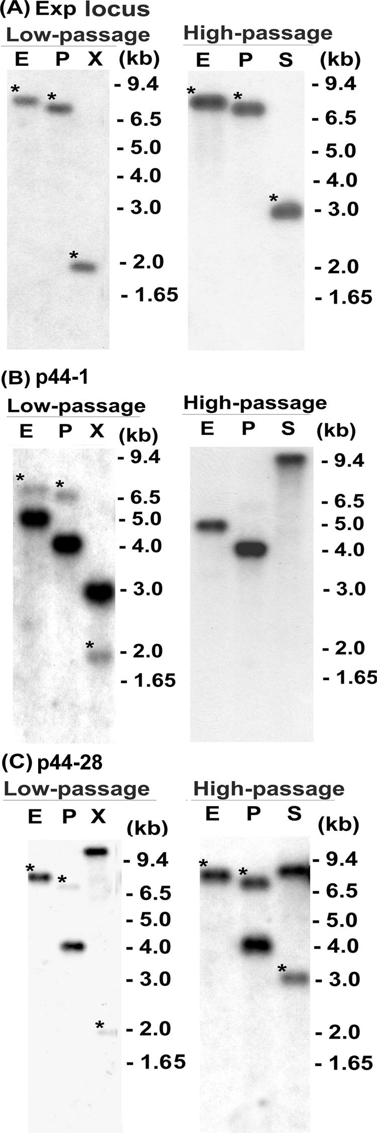 FIG. 5.