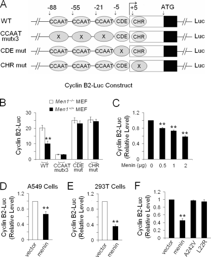 FIGURE 4.