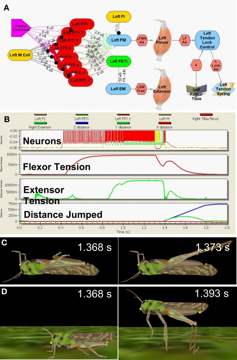 Figure 2