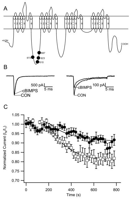 Fig. 6