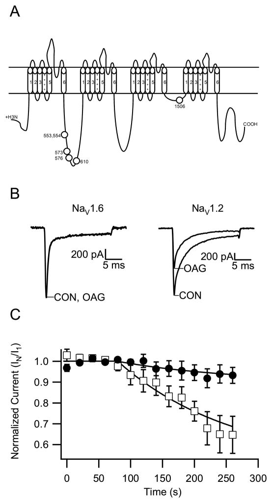 Fig. 5