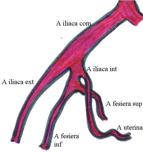 Fig.4