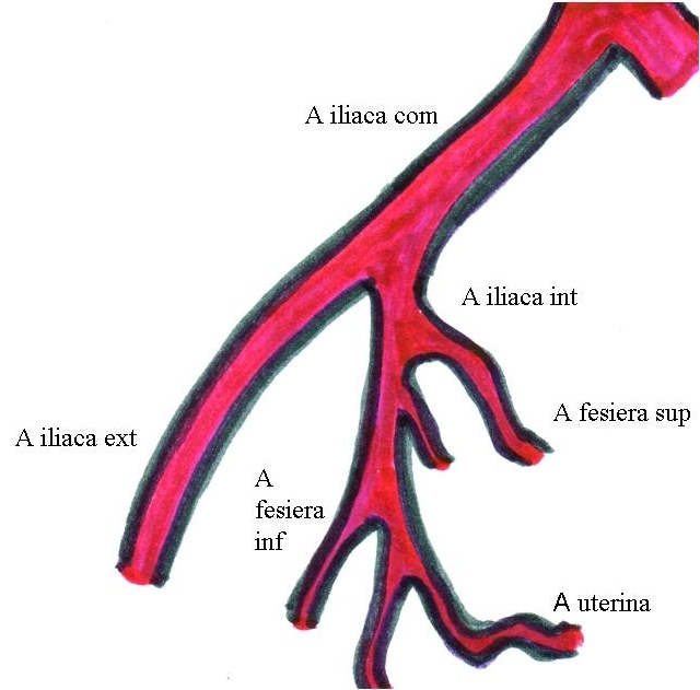 Fig.2