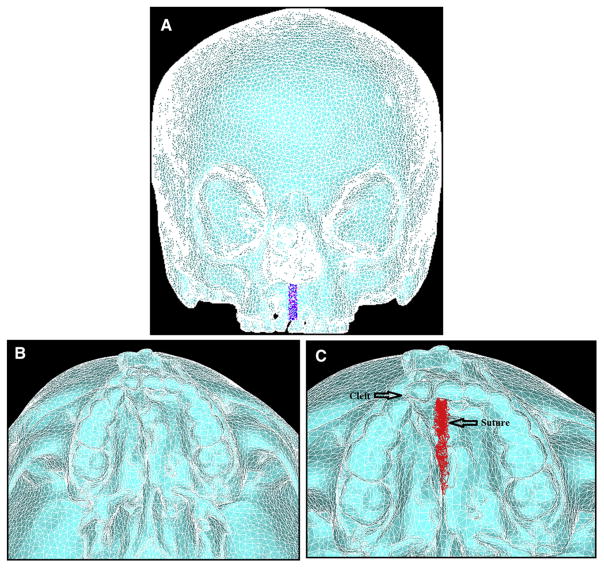 Fig 2