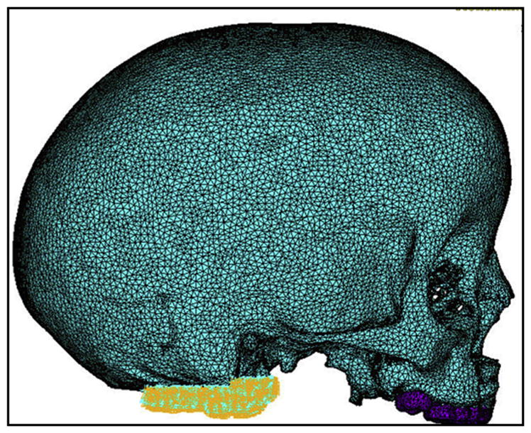 Fig 3