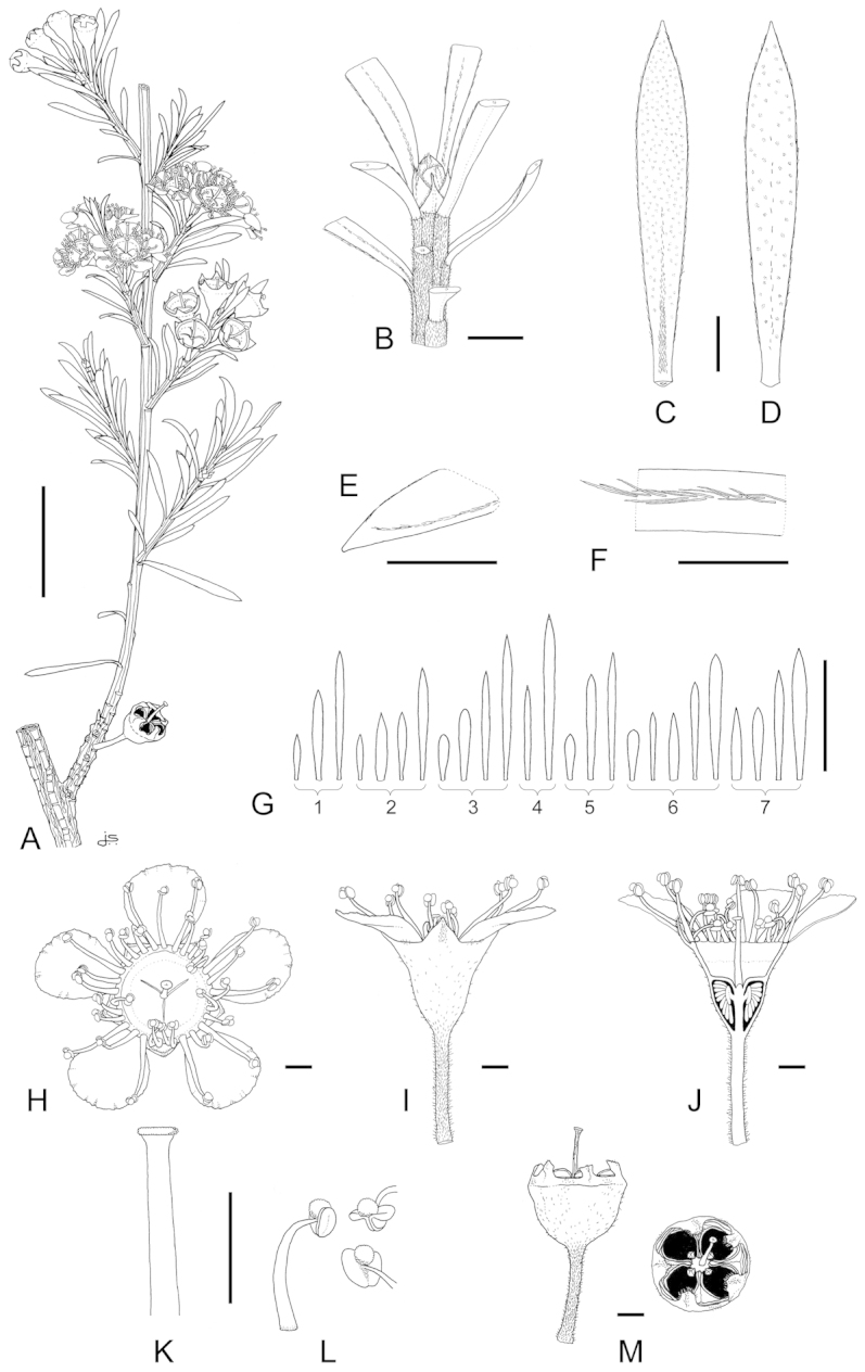 Figure 22.