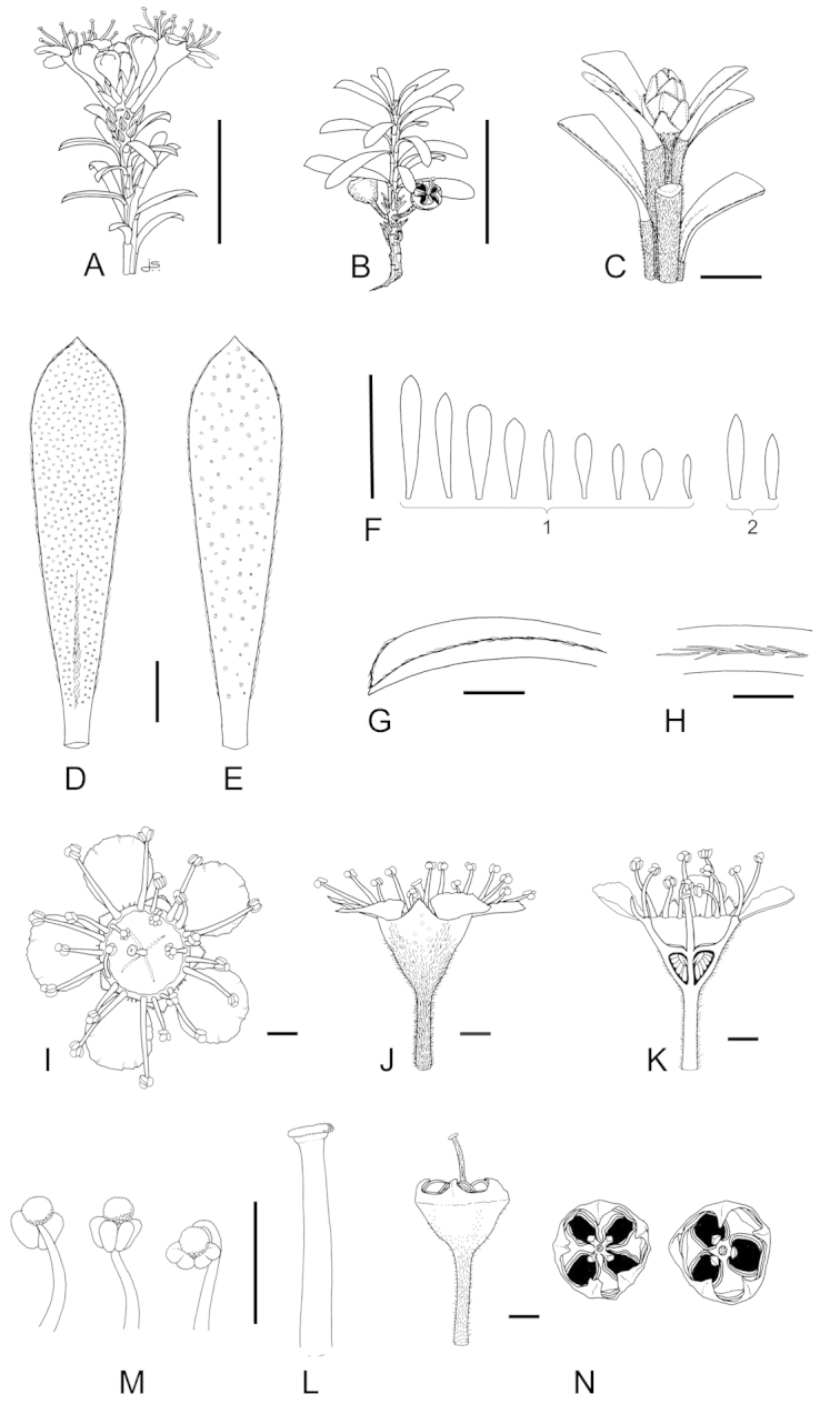 Figure 26.