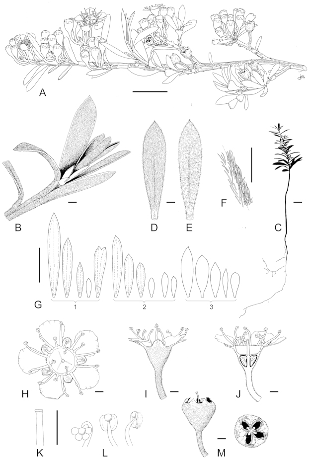 Figure 49.