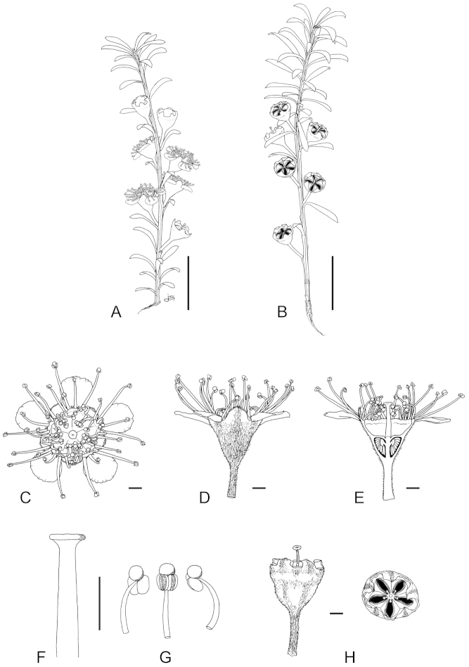 Figure 35.