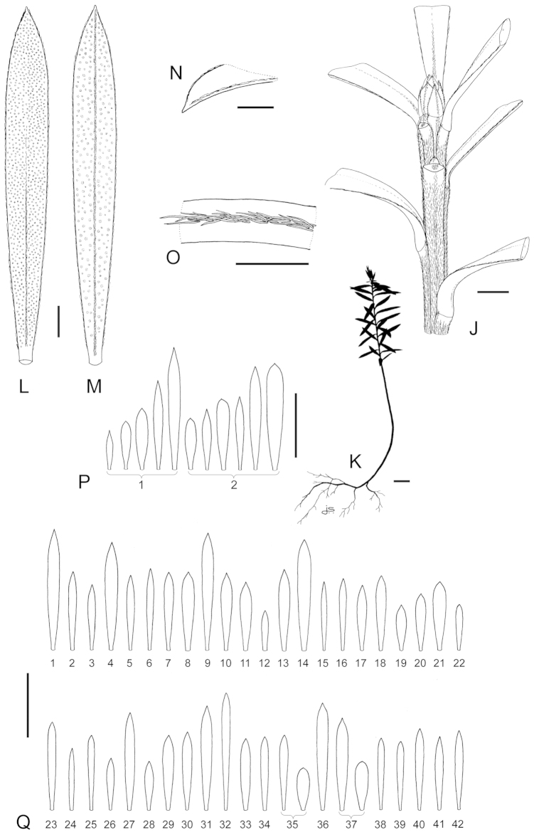 Figure 54.