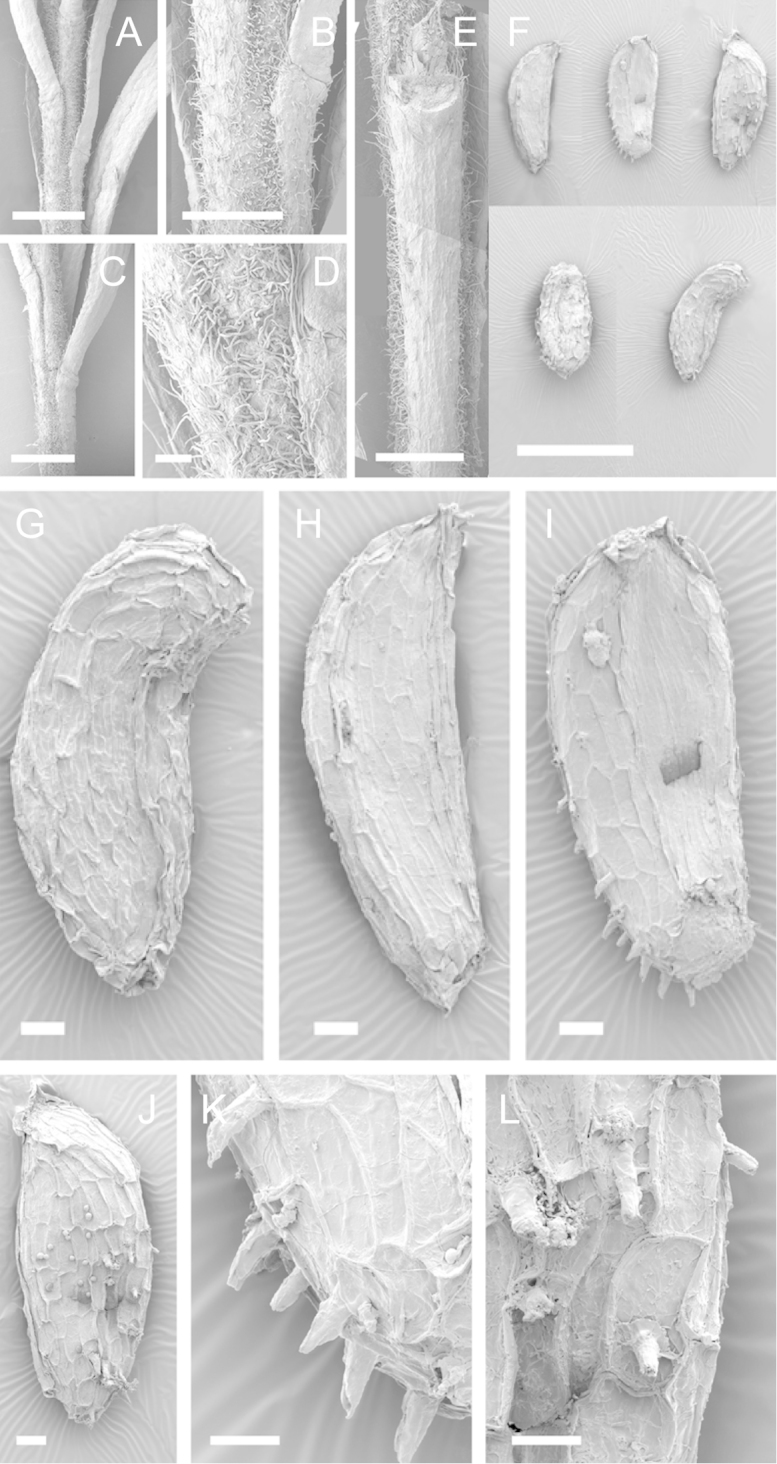 Figure 23.