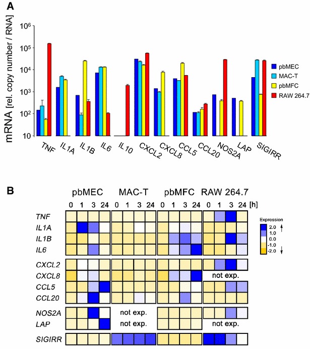 Figure 1