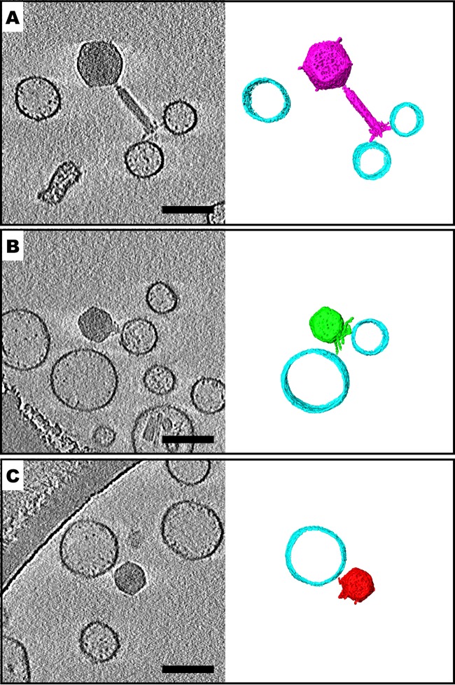 FIG 5