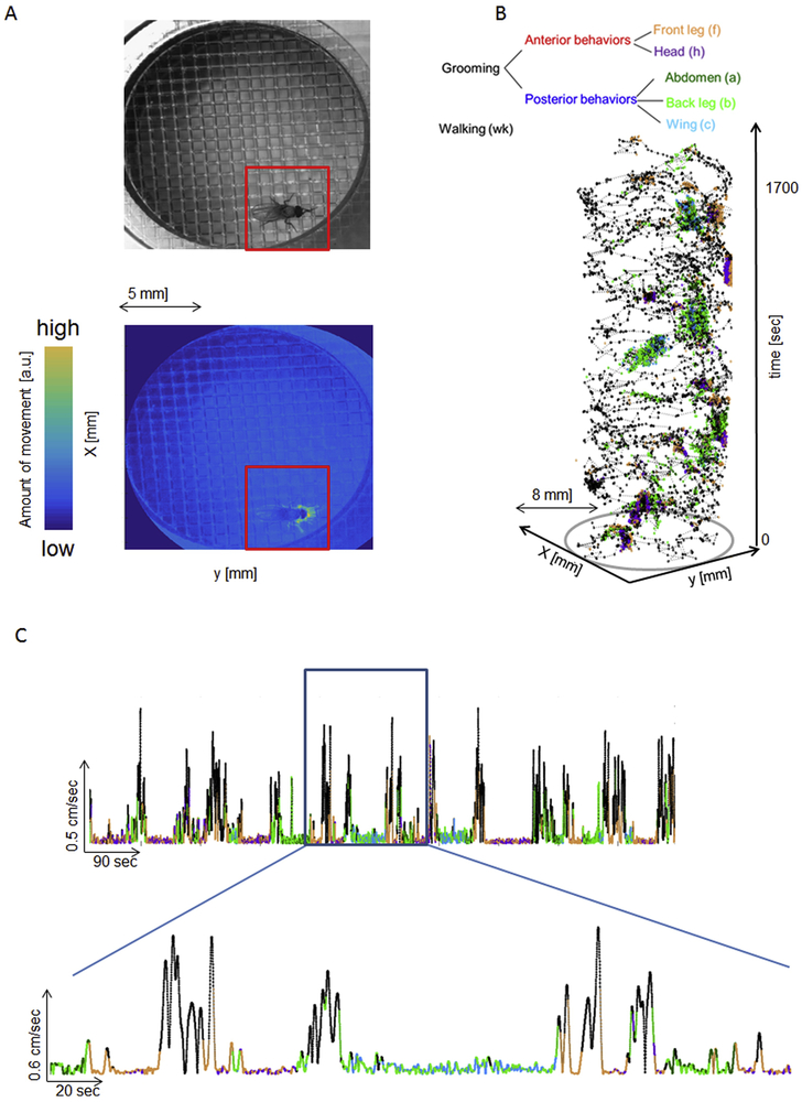 Figure 2