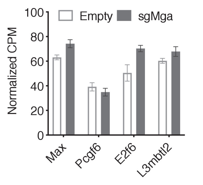 Figure 3—figure supplement 1.