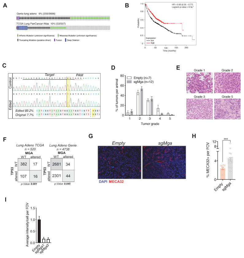 Figure 1—figure supplement 1.