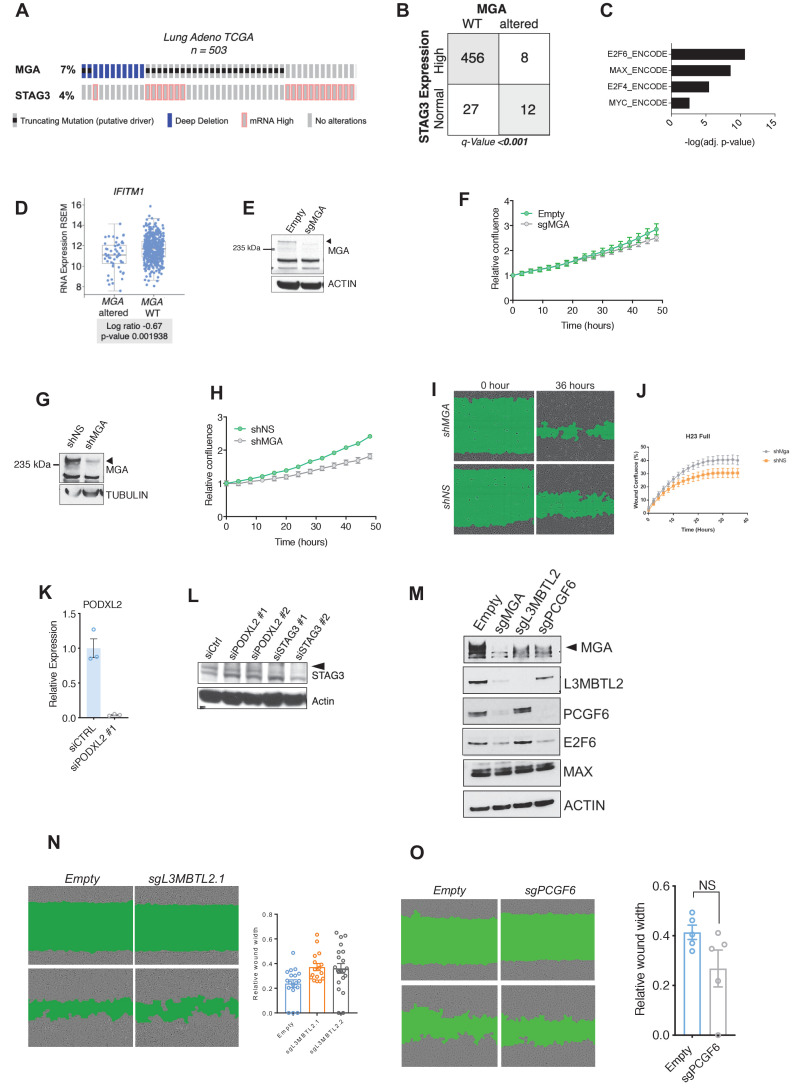 Figure 7—figure supplement 1.