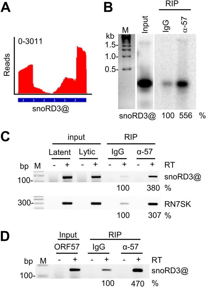 FIG 6