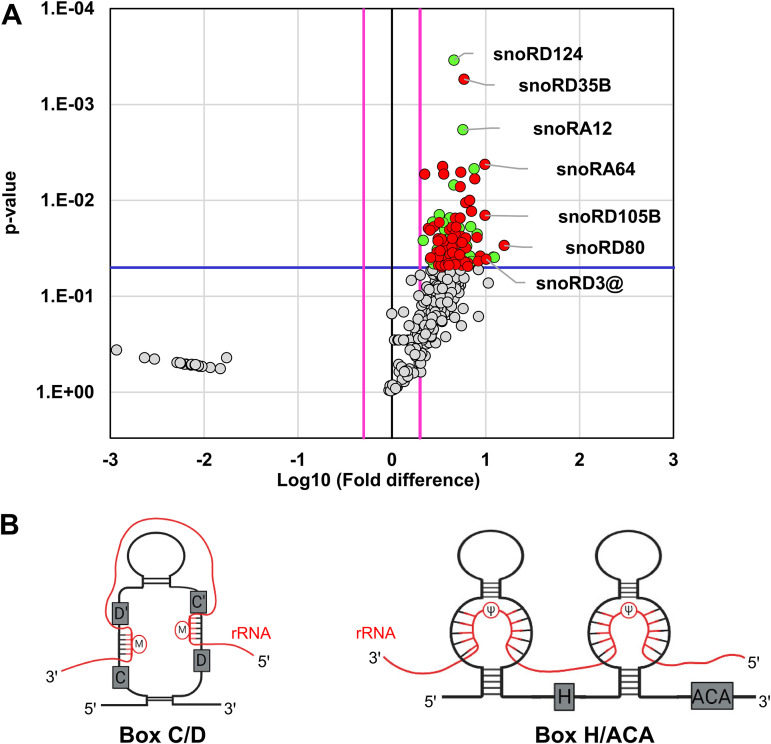 FIG 4