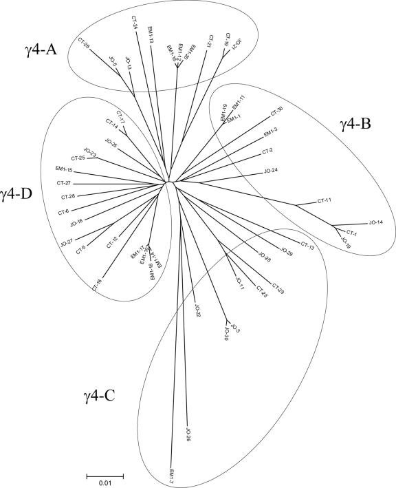 FIG. 3.