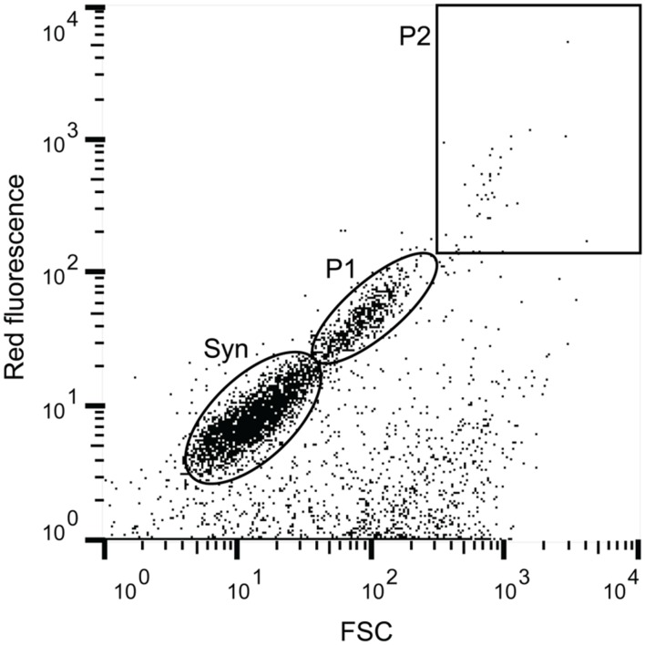 FIGURE 1