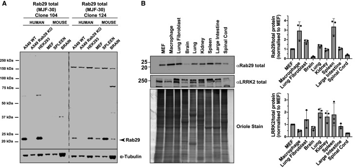 Figure 1.